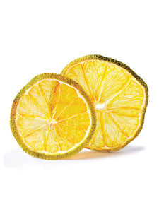 Dehydrated Lemon Slices 低温处理柠檬片